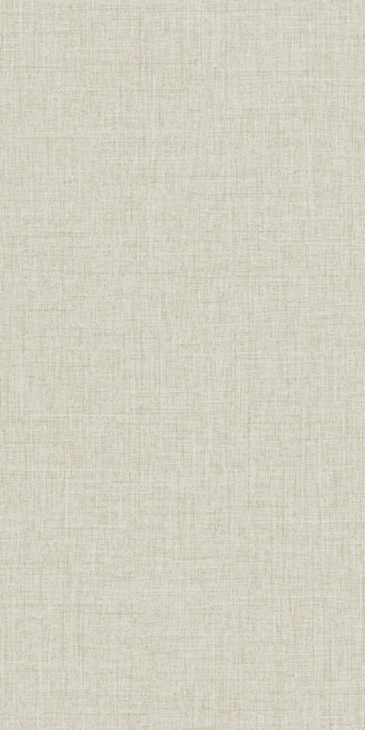 MFC - Clear Mesh Sud